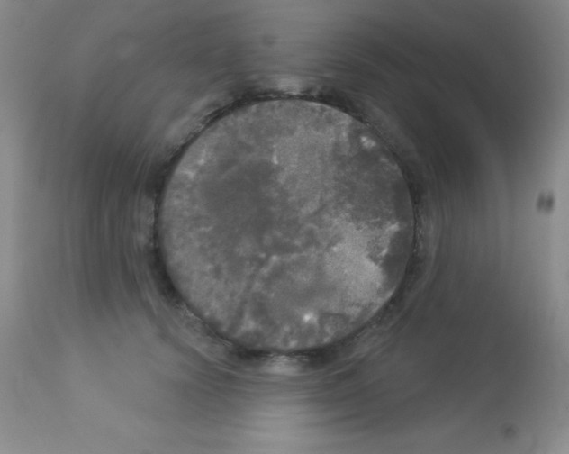X0000113080656200910091233