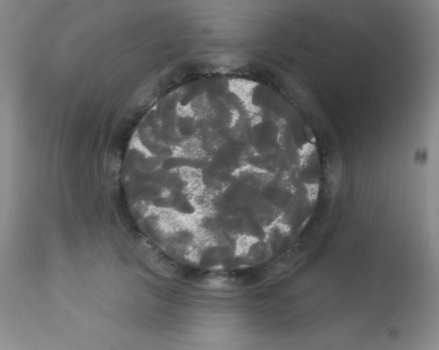 X0000113080657200910091233