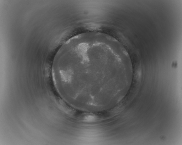 X0000113080658200910091233