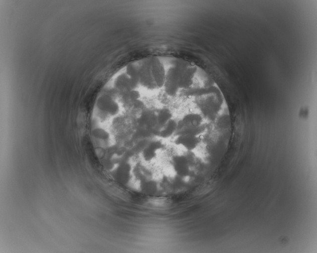 X0000113080659200910091233