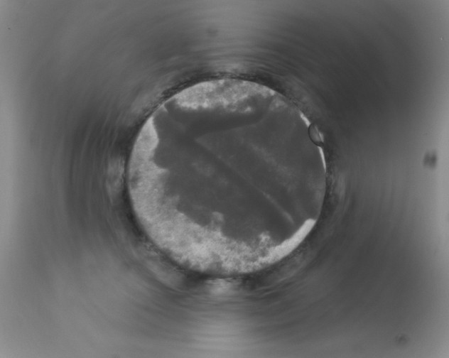 X0000113080660200910091233