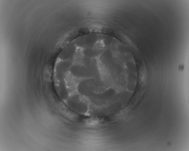 X0000113080661200910091233