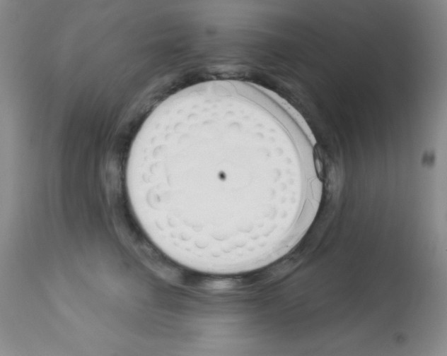 X0000113080662200910091233