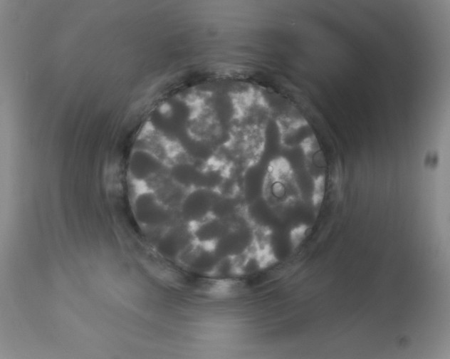 X0000113080663200910091233