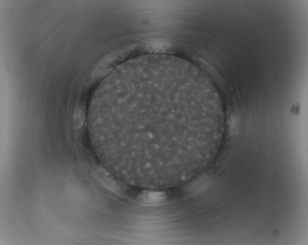 X0000113080665200910091233