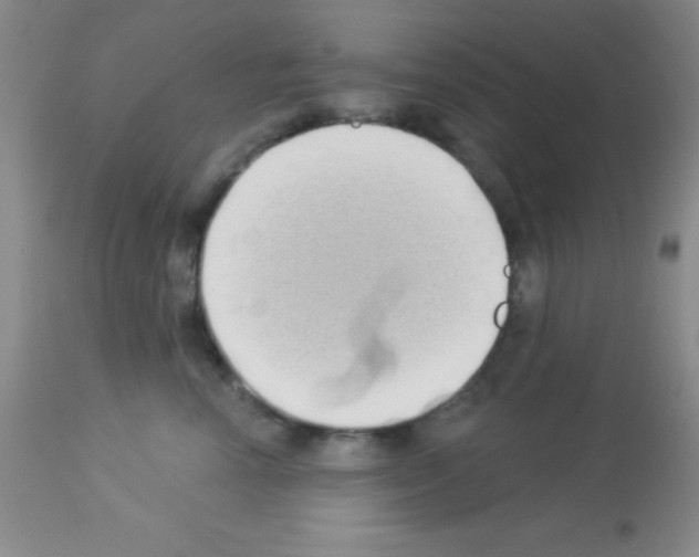 X0000113080666200910091233