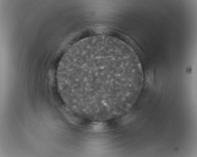 X0000113080667200910091233
