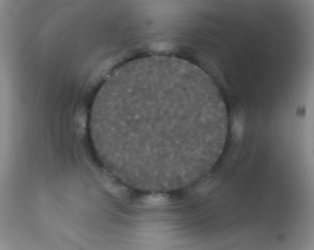 X0000113080668200910091233