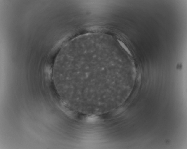 X0000113080669200910091233