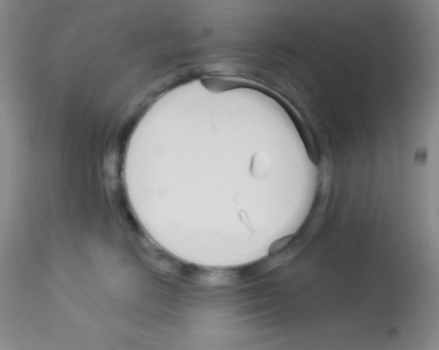 X0000113080670200910091233