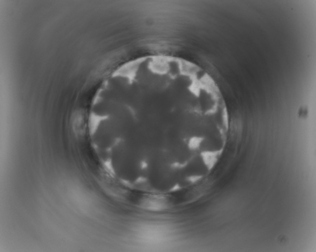 X0000113080671200910091233
