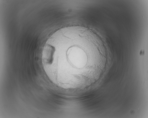 X0000113080672200910091233