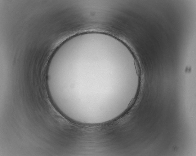 X0000113080673200910091232