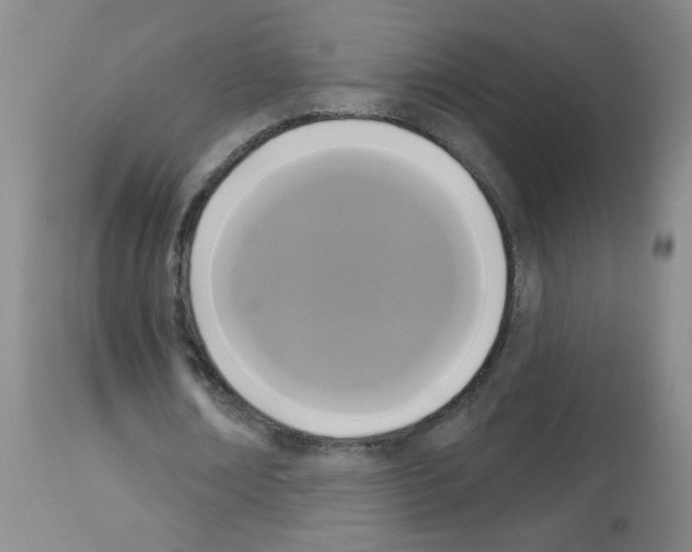 X0000113080674200910091232