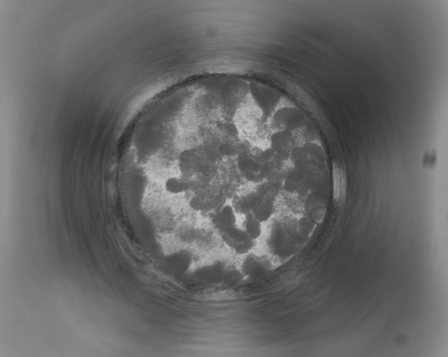 X0000113080675200910091232