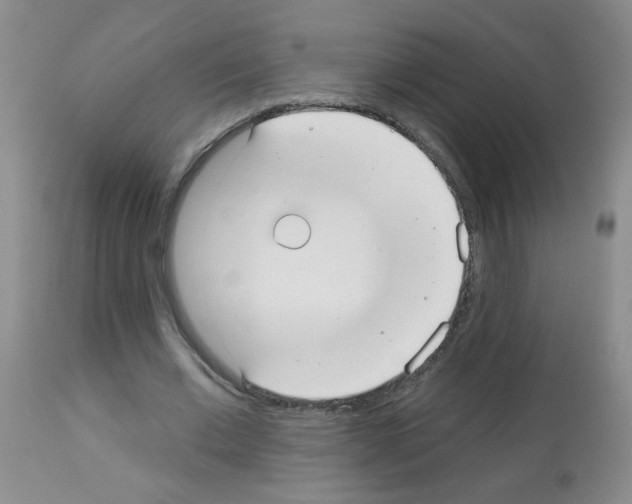 X0000113080677200910091232