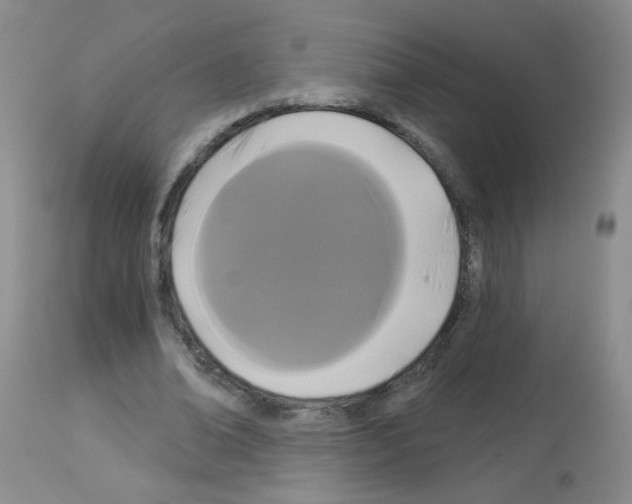 X0000113080678200910091232