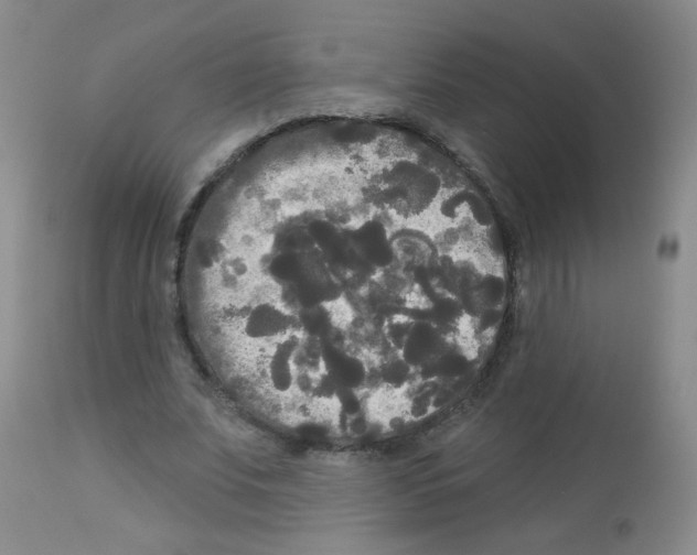 X0000113080679200910091232