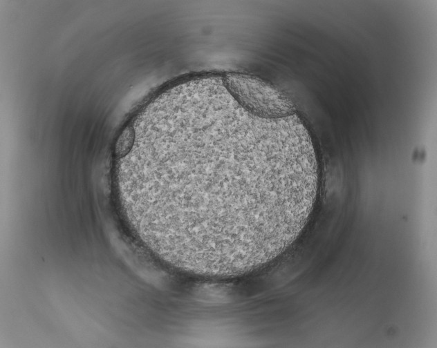 X0000113080680200910091232