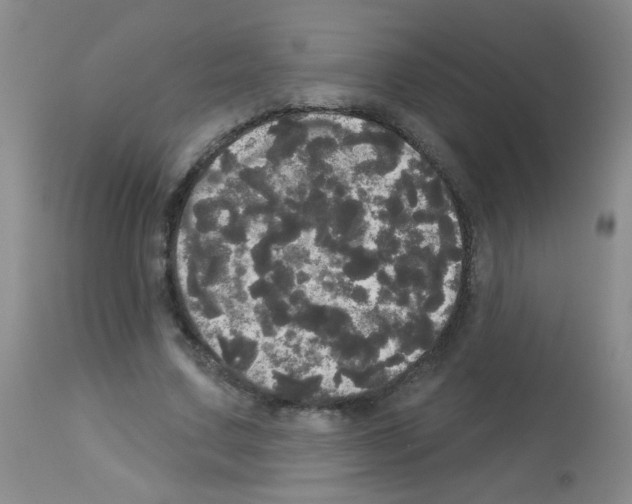 X0000113080683200910091232