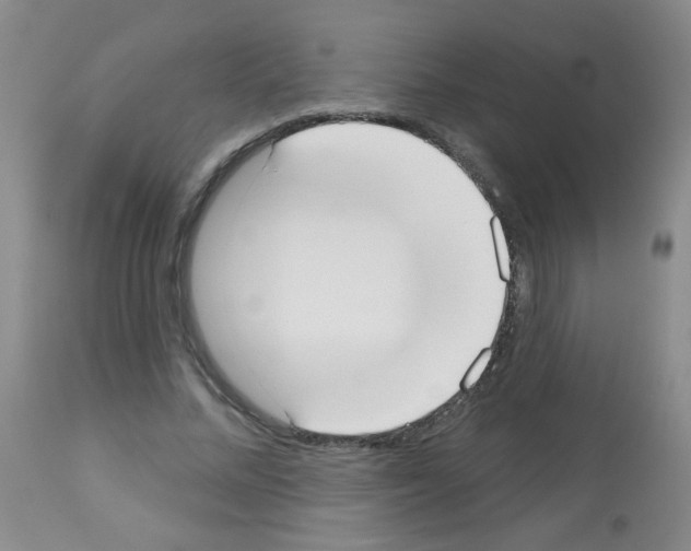 X0000113080684200910091232