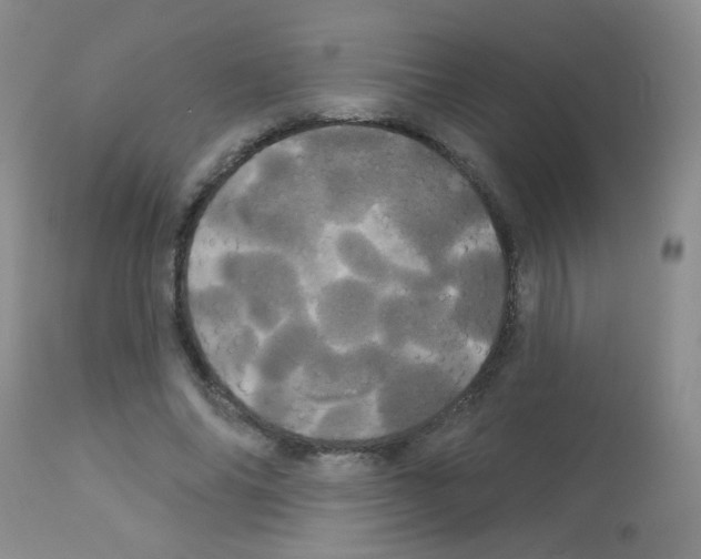X0000113080686200910091232