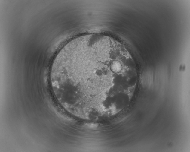 X0000113080687200910091232