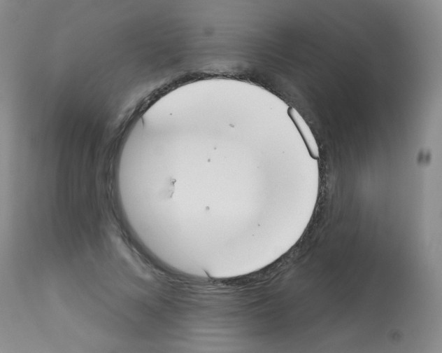 X0000113080688200910091232