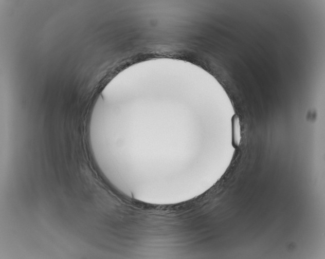 X0000113080689200910091232