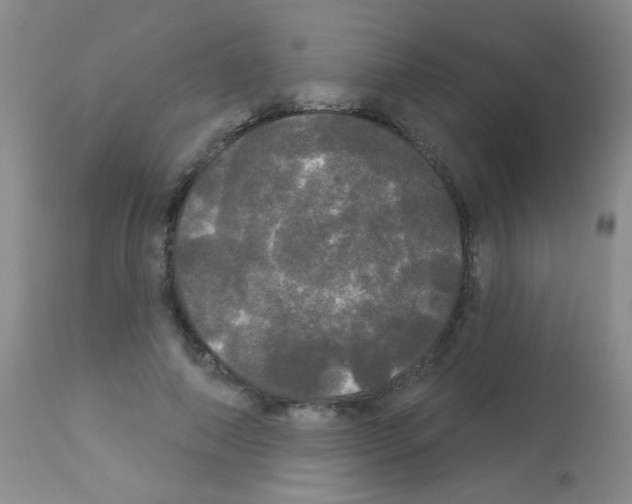 X0000113080690200910091232
