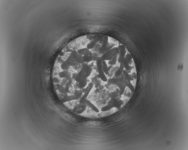 X0000113080691200910091232