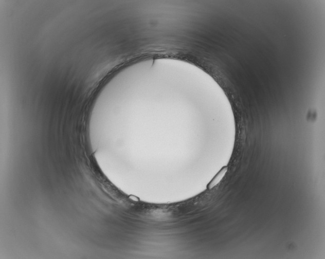 X0000113080692200910091232