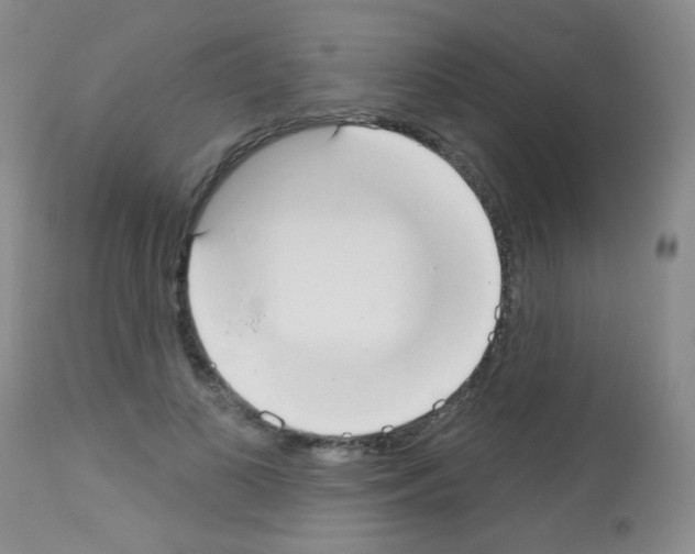 X0000113080693200910091232