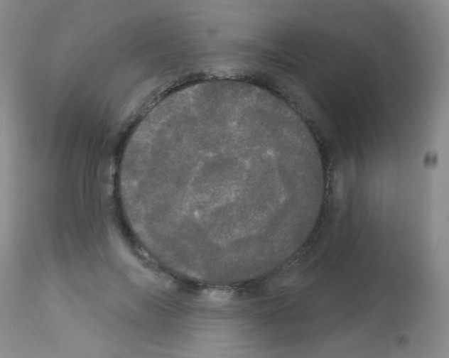 X0000113080694200910091232
