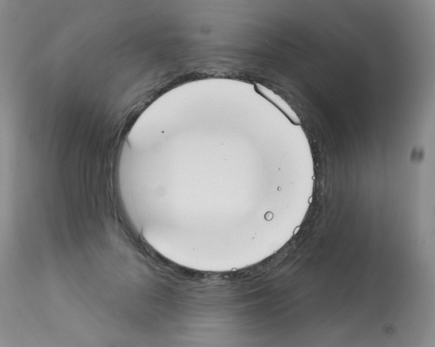 X0000113080696200910091232