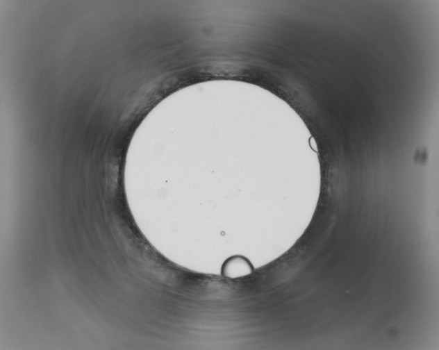 X0000113080697200910091232