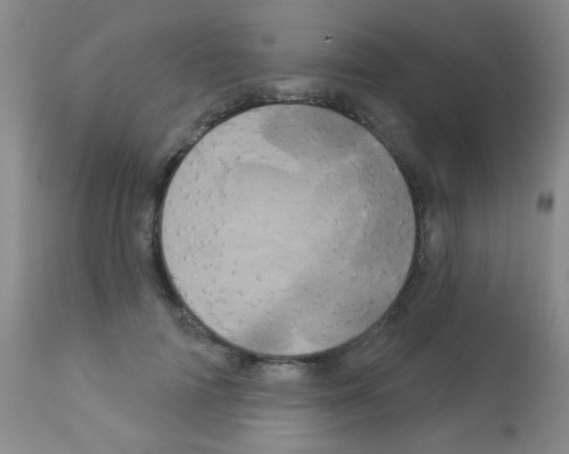 X0000113080698200910091232