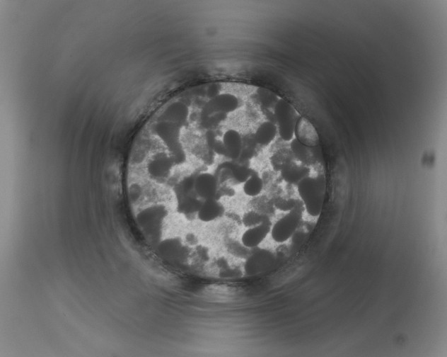 X0000113080699200910091232