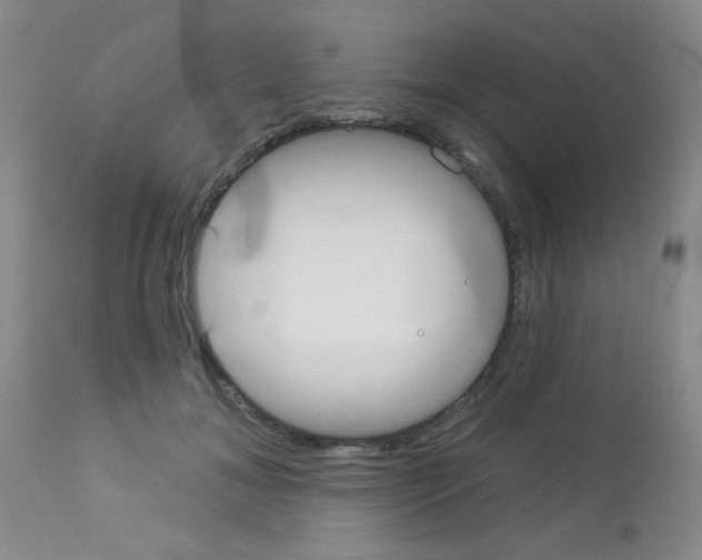 X0000113080700200910091232