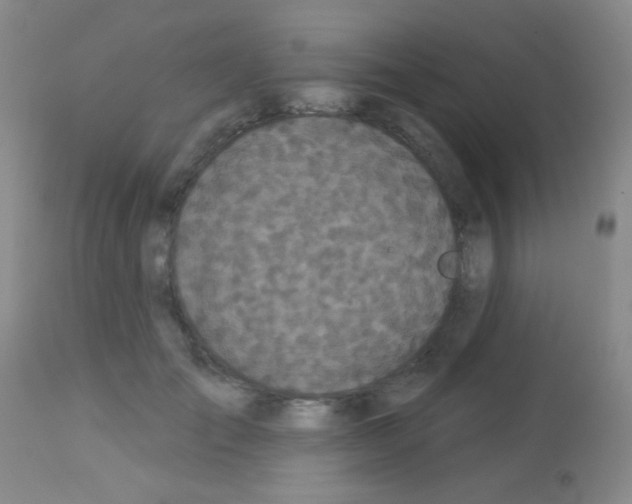 X0000113080701200910091232