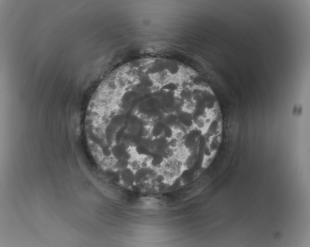 X0000113080703200910091232