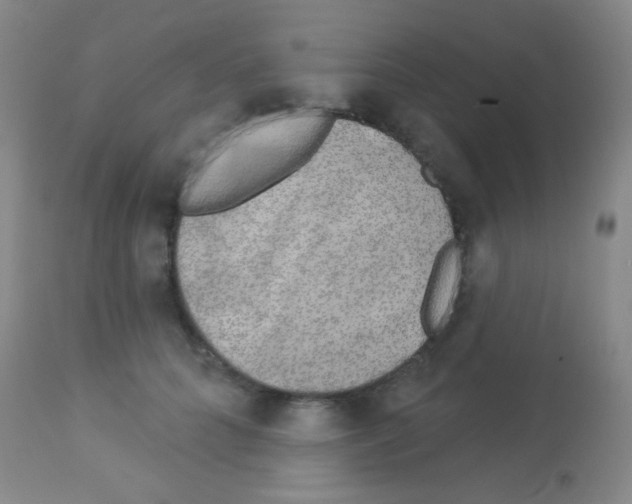 X0000113080704200910091232