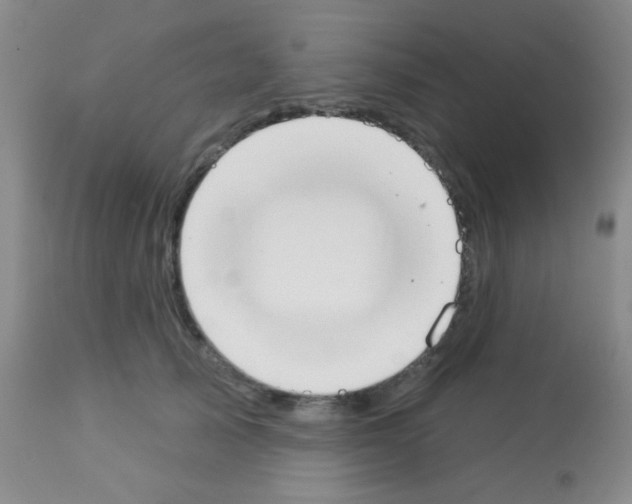 X0000113080705200910091232
