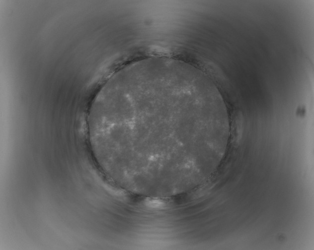 X0000113080706200910091232