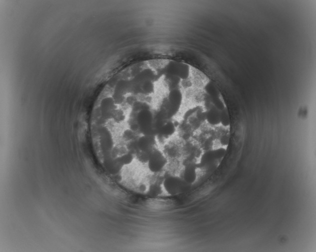 X0000113080707200910091232