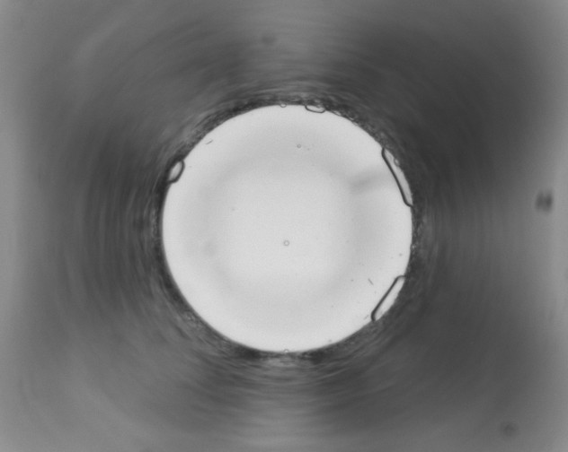 X0000113080708200910091232