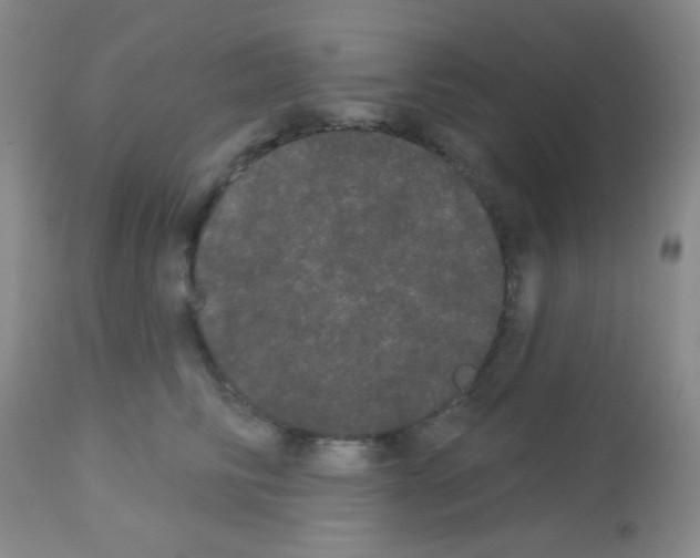 X0000113080710200910091232