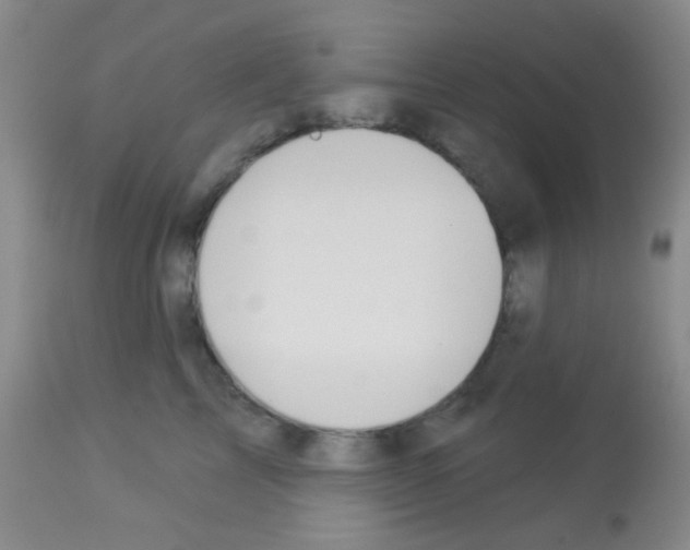 X0000113080713200910091232
