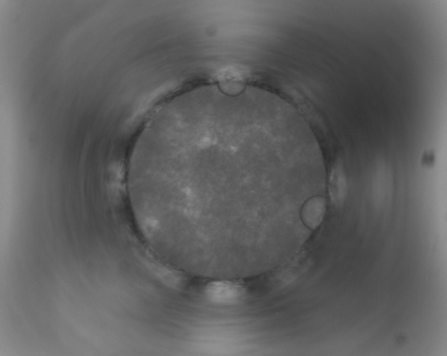 X0000113080714200910091232