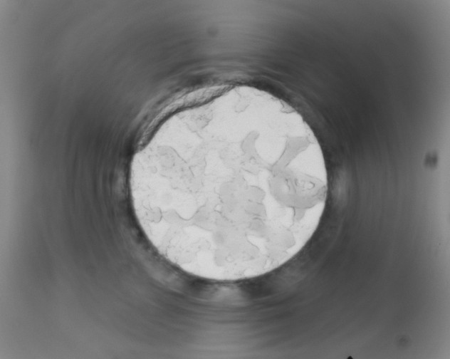 X0000113080715200910091232